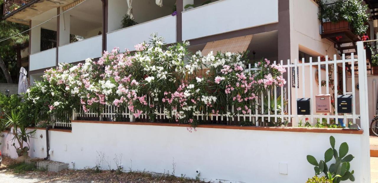 Casa Perciata - Locazione Turistica Apartment Mondello Ngoại thất bức ảnh