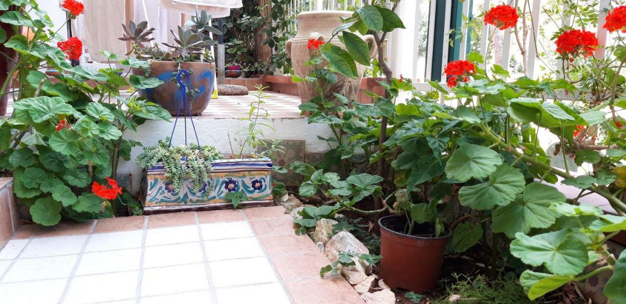 Casa Perciata - Locazione Turistica Apartment Mondello Ngoại thất bức ảnh